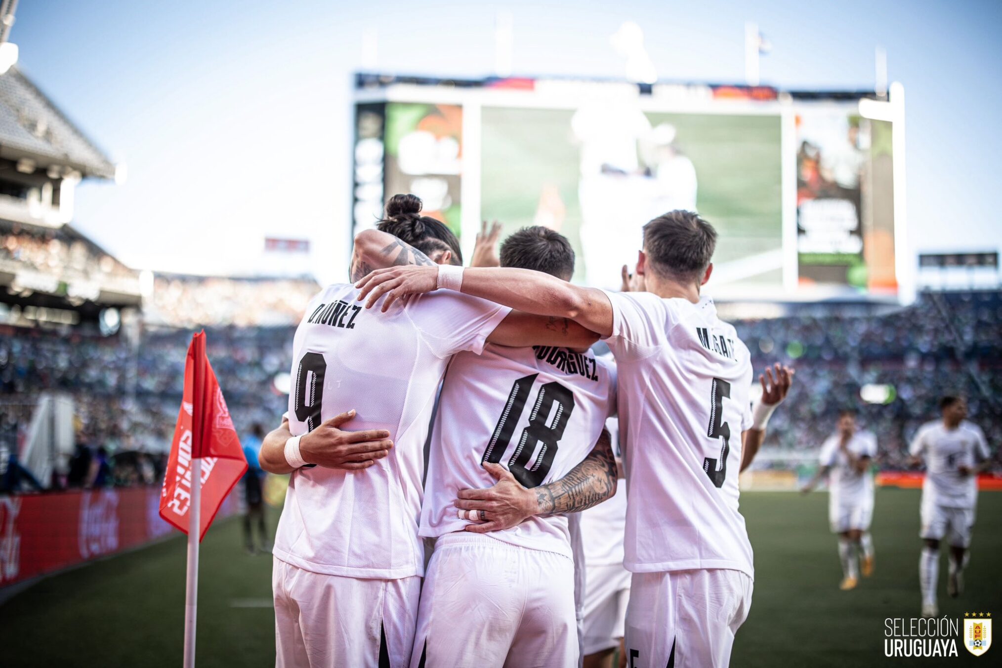 llavd9817shyhss1x2w6ayxhevc3