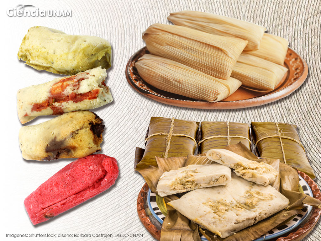 ar tamales 01 28012022