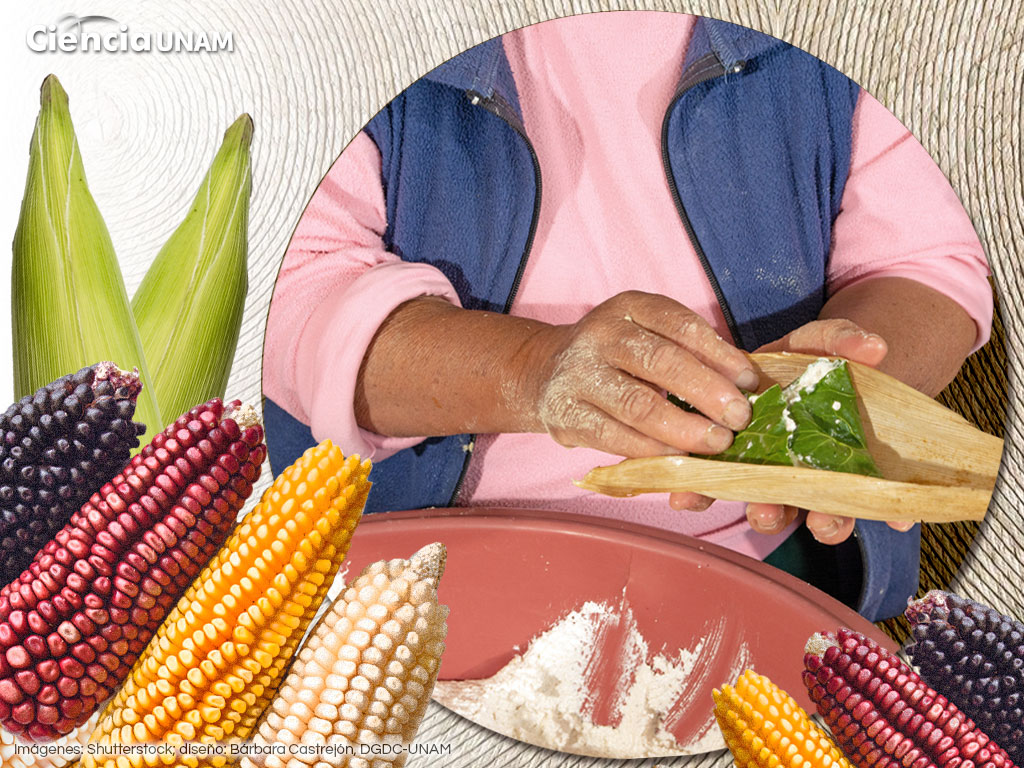 ar tamales 03 28012022