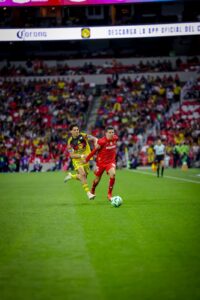 8e017020 3a37 436b 8282 7672c2ba22fd