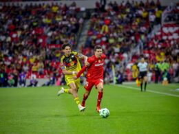 8e017020 3a37 436b 8282 7672c2ba22fd