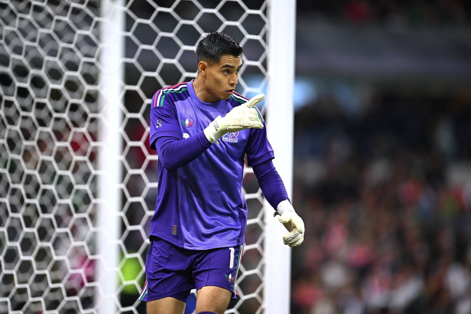 c9d8854a ce0f 47fd a8d2 500474661e6d