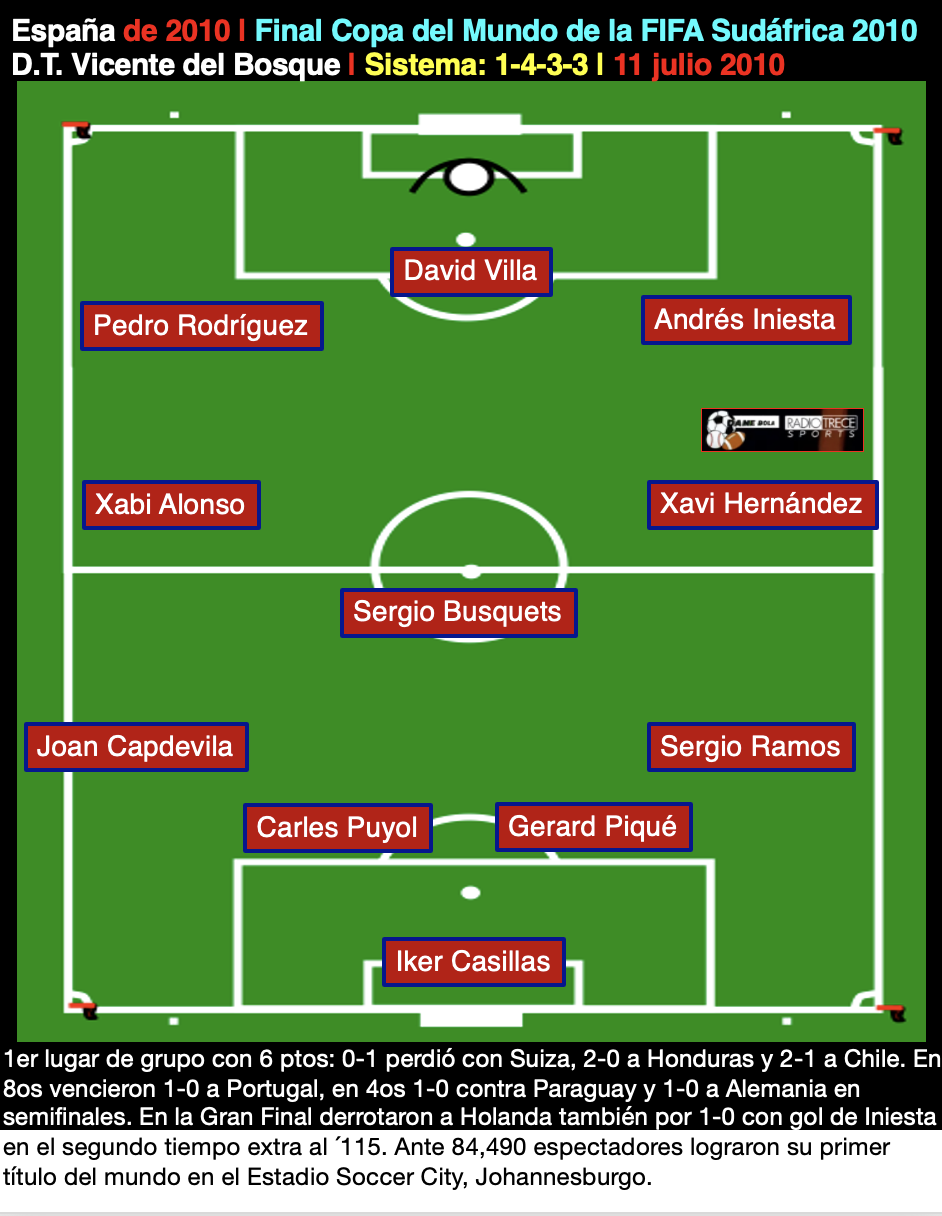 España del 2010, 1 4 3 3, Vicente del Bosque