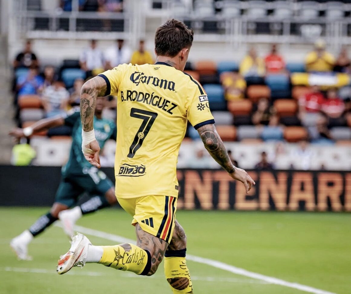 IMG 7571