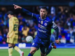 IMG 8008