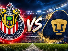 descarga