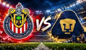 descarga